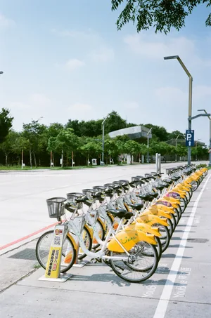 公園裡的Ubike